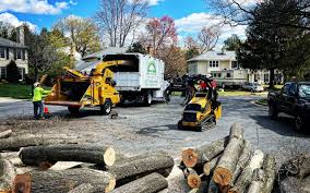 Best Tree Trimming and Pruning  in Clarkson Valley, MO