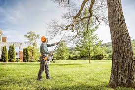 Reliable Clarkson Valley, MO Tree Care Solutions